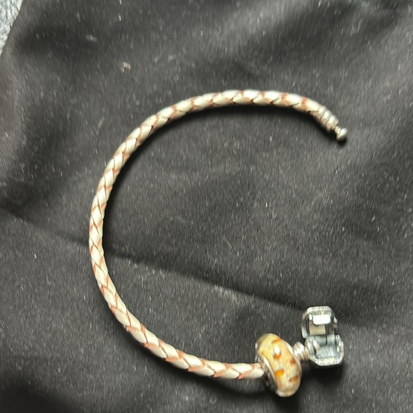 Pandora Animal 🦓 🦒 print bracelet! - Picture 4 of 5